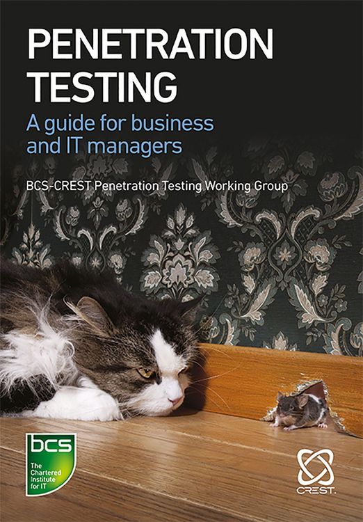 Produktbild: Penetration Testing