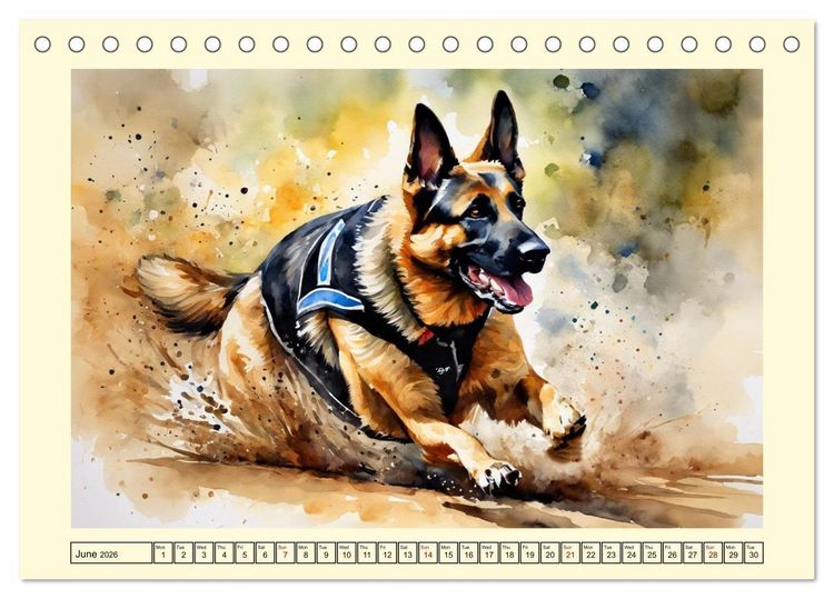 Produktbild: German Shepherds - classics around the globe (Desk Calendar 2026 DIN A5 landscape), CALVENDO 12 Month DeskCalendar