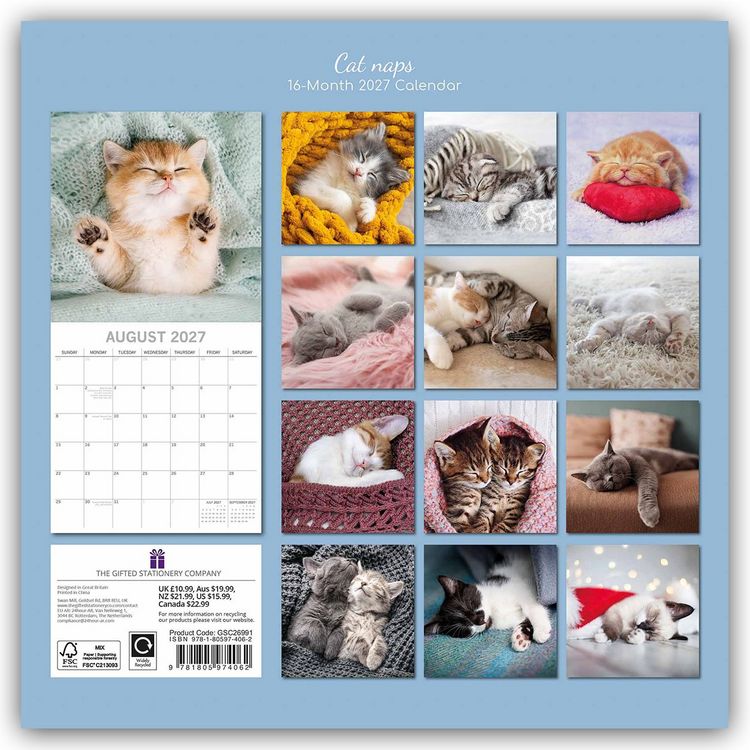Produktbild: Cat Naps &ndash; Tr&auml;umende Katzen 2027 &ndash; 16-Monatskalender