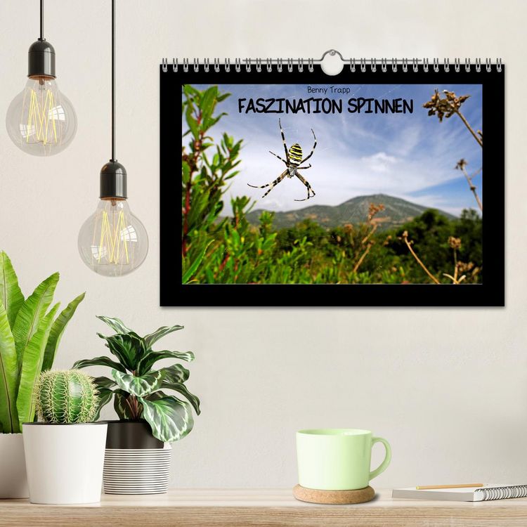 Produktbild: Faszination Spinnen (Wandkalender 2026 DIN A4 quer), CALVENDO Monatskalender