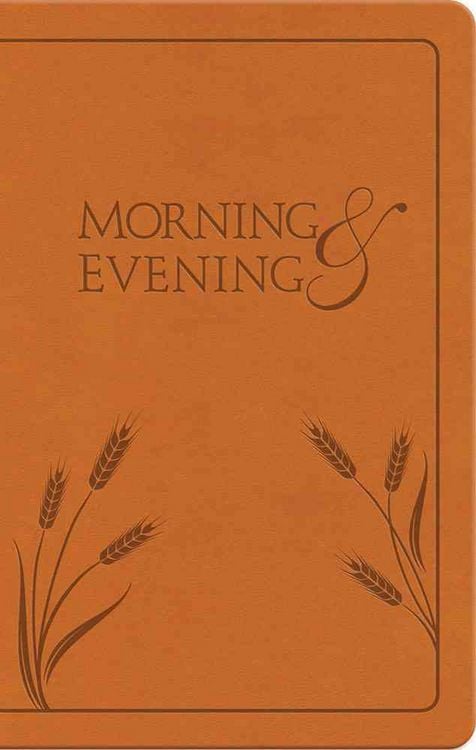 Produktbild: Morning and Evening