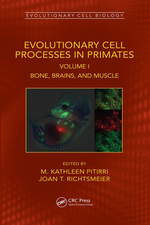 Produktbild: Evolutionary Cell Processes in Primates