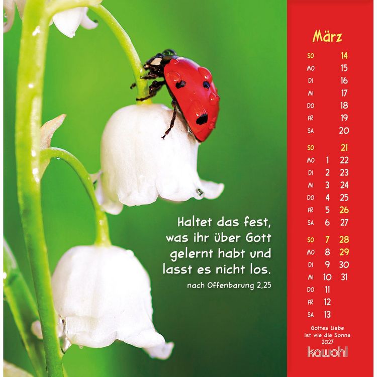 Produktbild: Gottes Liebe ist wie die Sonne 2027