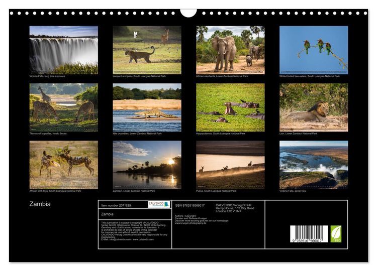 Produktbild: Zambia (Wall Calendar 2026 DIN A3 landscape), CALVENDO 12 Month Wall Calendar