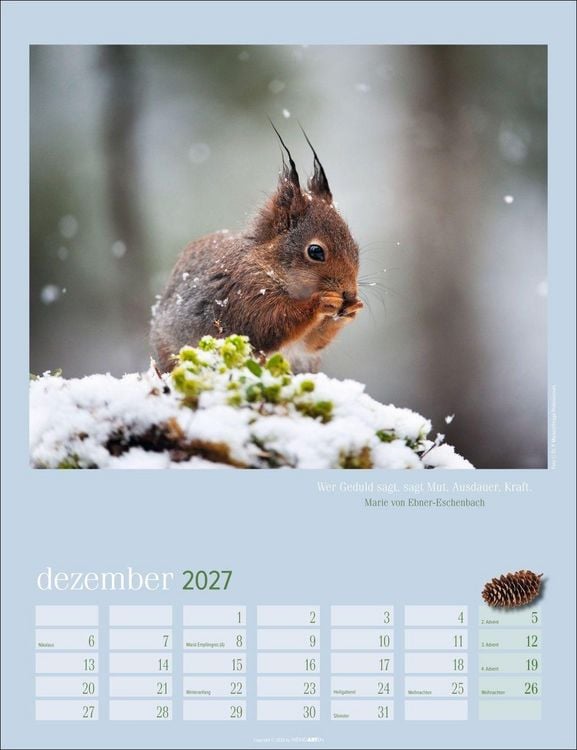 Produktbild: Eichh&ouml;rnchen Kalender 2027