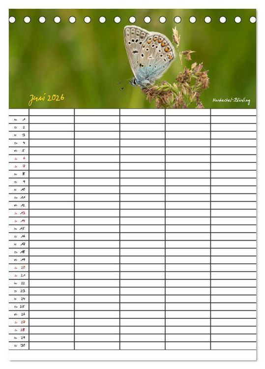 Produktbild: Schmetterlinge in Bayern (Tischkalender 2026 DIN A5 hoch), CALVENDO Monatskalender