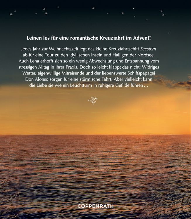Das Weihnachts-Traumschiff