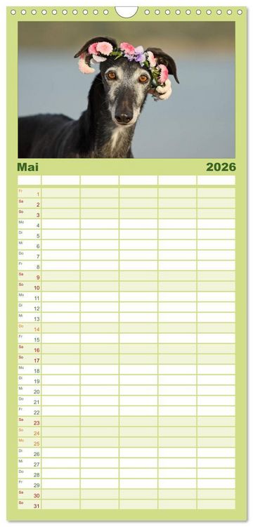 Produktbild: Familienplaner 2026 - Der Windhundekalender mit 5 Spalten (Wandkalender, 21 x 45 cm) CALVENDO
