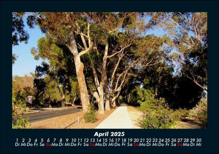 Produktbild: Pflanzen und Bl&uuml;ten 2025 Fotokalender DIN A5