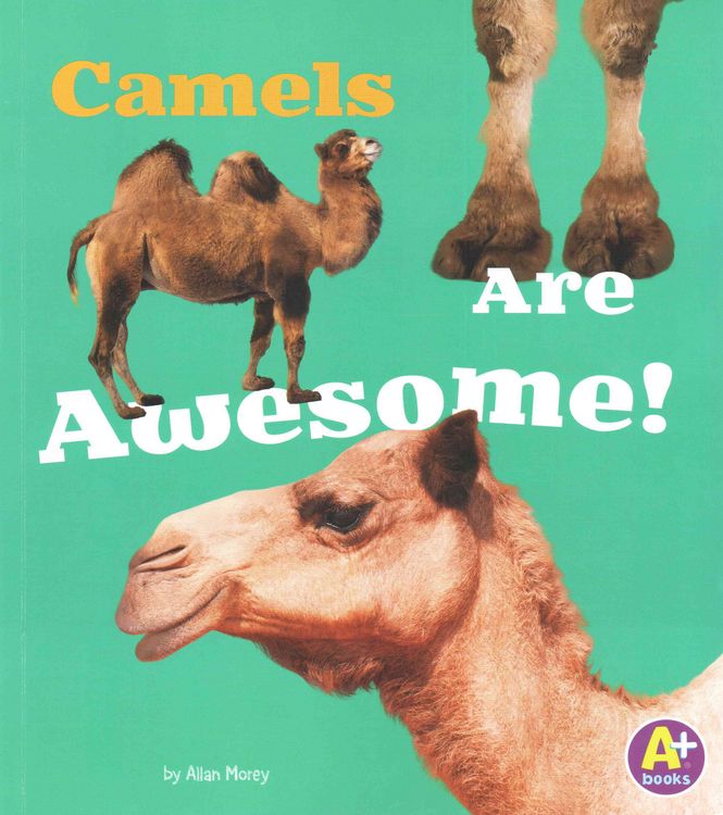 Produktbild: Camels Are Awesome