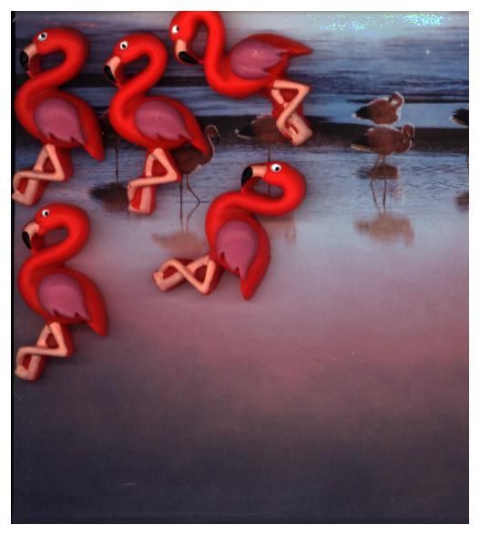 Produktbild: Magnete FLAMINGO 5er Set pink