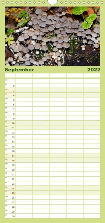 Produktbild: Familienplaner Pilze, Pilze (Wandkalender 2022 , 21 cm x 45 cm, hoch)
