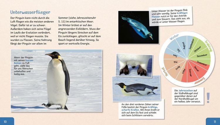 Produktbild: Meine gro&szlig;e Tierbibliothek: Der Pinguin