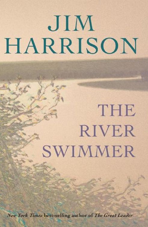 Produktbild: The River Swimmer