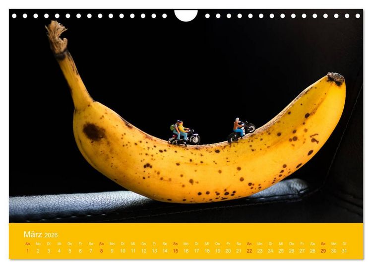Produktbild: Neue Miniaturen - Klein ganz gro&szlig; 2.0 (Wandkalender 2026 DIN A4 quer), CALVENDO Monatskalender