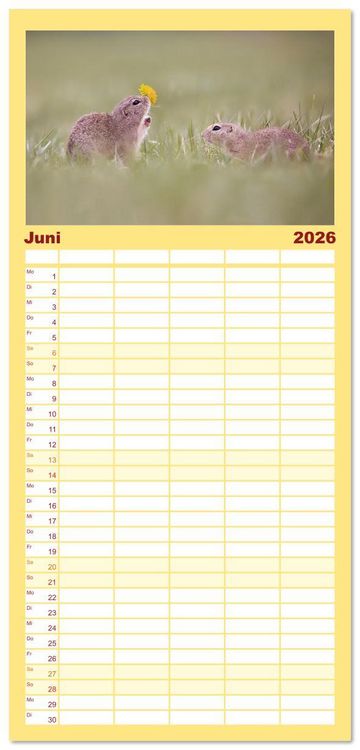 Produktbild: Familienplaner 2026 - Zauberhafte Ziesel mit 5 Spalten (Wandkalender, 21 x 45 cm) CALVENDO