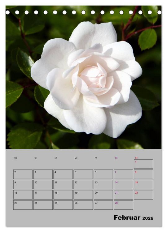 Produktbild: Rosen - Symbol der Liebe und Verehrung (Tischkalender 2026 DIN A5 hoch), CALVENDO Monatskalender