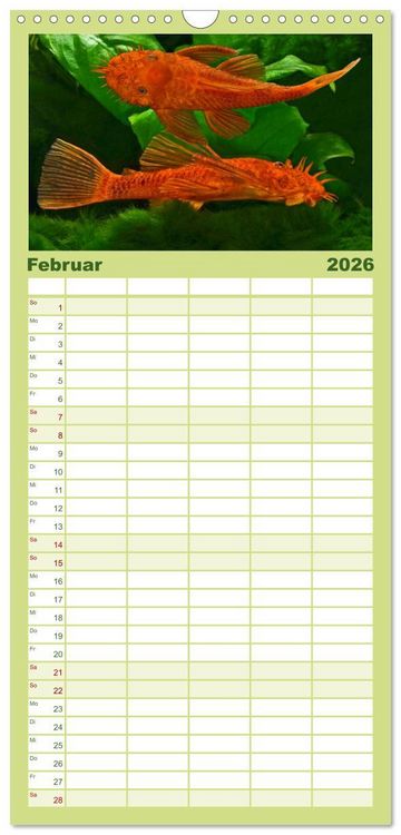 Produktbild: Familienplaner 2026 - Beliebte Fische der Welt mit 5 Spalten (Wandkalender, 21 x 45 cm) CALVENDO