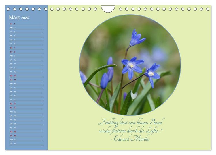 Produktbild: Flora in royalem Blau (Wandkalender 2026 DIN A4 quer), CALVENDO Monatskalender