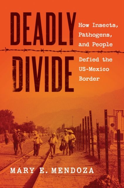 Produktbild: Deadly Divide