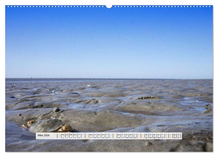 Produktbild: St. Peter-Ording (Wandkalender 2026 DIN A2 quer), CALVENDO Monatskalender