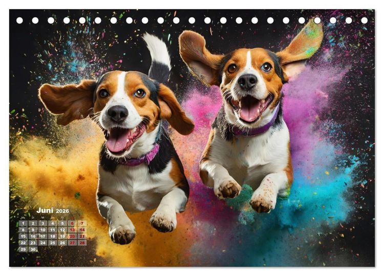 Produktbild: Holi Pulver - Doppelte Action (Tischkalender 2026 DIN A5 quer), CALVENDO Monatskalender