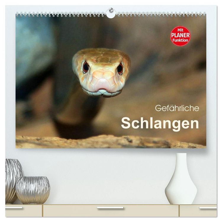 Produktbild: Gef&auml;hrliche Schlangen (hochwertiger Premium Wandkalender 2027 DIN A2 quer), Kunstdruck in Hochglanz