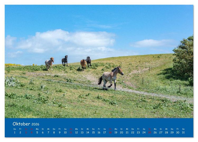 Produktbild: Besuch auf Hiddensee (Tischkalender 2026 DIN A5 quer), CALVENDO Monatskalender