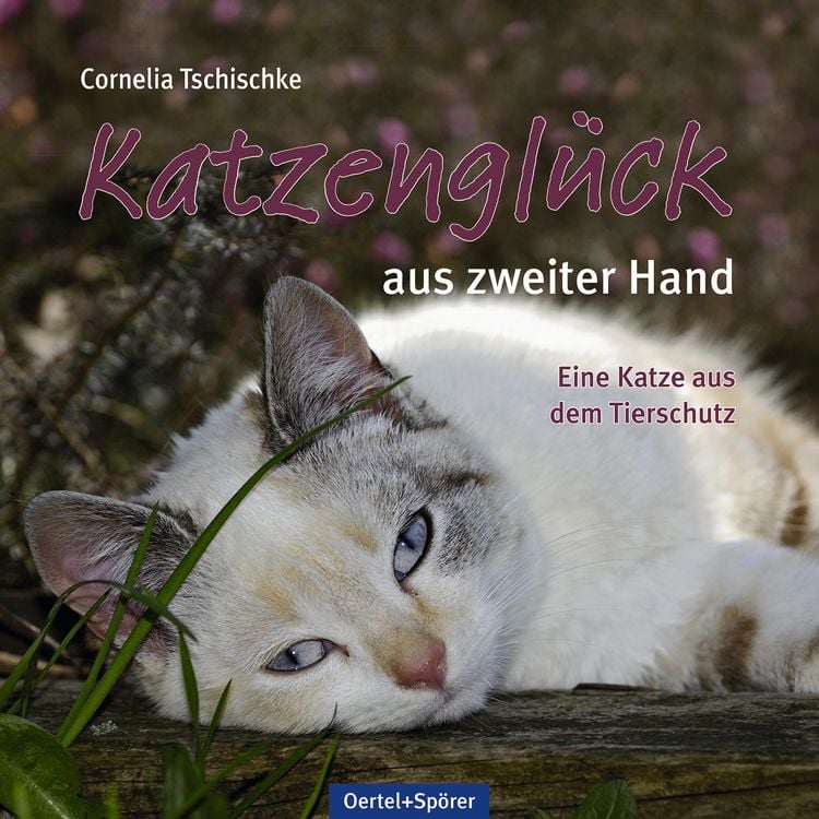 Produktbild: Katzengl&uuml;ck aus zweiter Hand