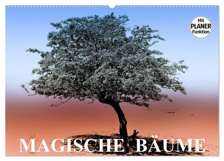 Produktbild: Magische B&auml;ume (Wandkalender 2026 DIN A2 quer), CALVENDO Monatskalender