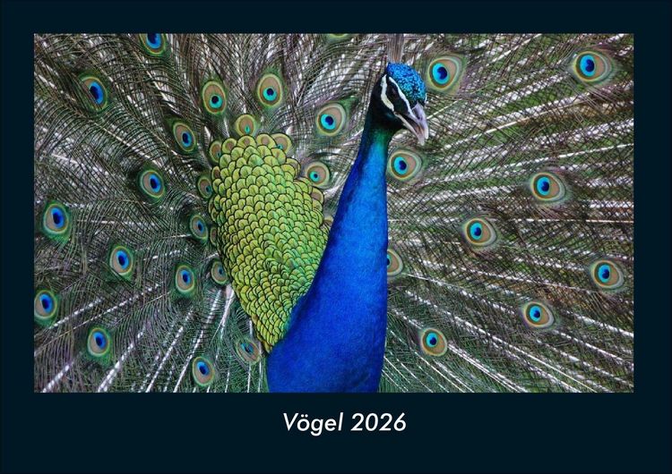 Produktbild: V&ouml;gel 2026 Fotokalender DIN A4