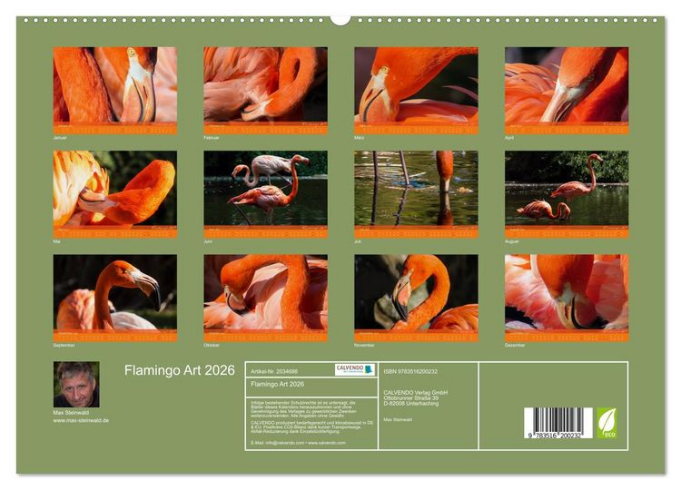 Produktbild: Flamingo Art 2026 (hochwertiger Premium Wandkalender 2026 DIN A2 quer), Kunstdruck in Hochglanz