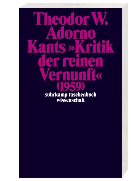 Produktbild: Nachgelassene Schriften. Abteilung IV: Vorlesungen