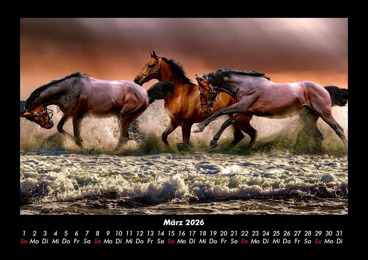 Produktbild: Pferdegefl&uuml;ster 2026 Fotokalender DIN A3