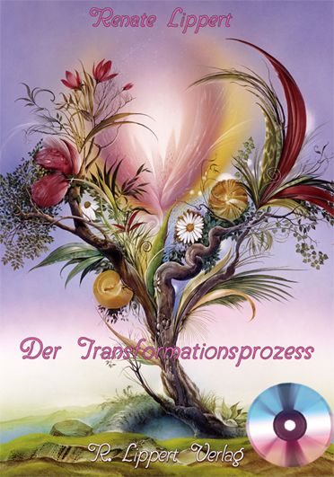 Produktbild: Der Transformationsprozess