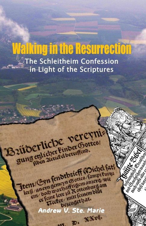 Produktbild: Walking in the Resurrection