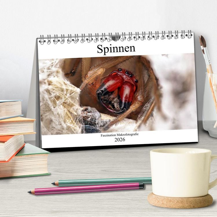Produktbild: Faszination Makrofotografie: Spinnen (Tischkalender 2026 DIN A5 quer), CALVENDO Monatskalender