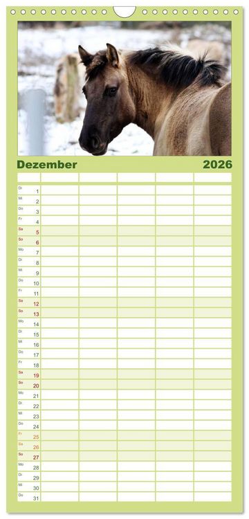 Produktbild: Familienplaner 2026 - Faszination Pferde mit 5 Spalten (Wandkalender, 21 x 45 cm) CALVENDO