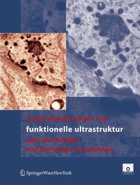 Produktbild: Funktionelle Ultrastruktur