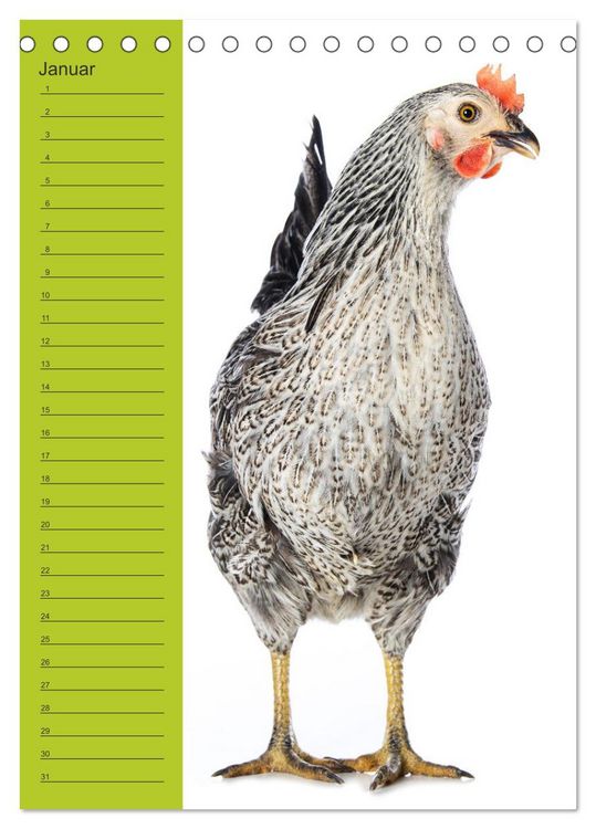 Produktbild: Kunterbunte H&uuml;hner Truppe (Tischkalender 2026 DIN A5 hoch), CALVENDO Monatskalender