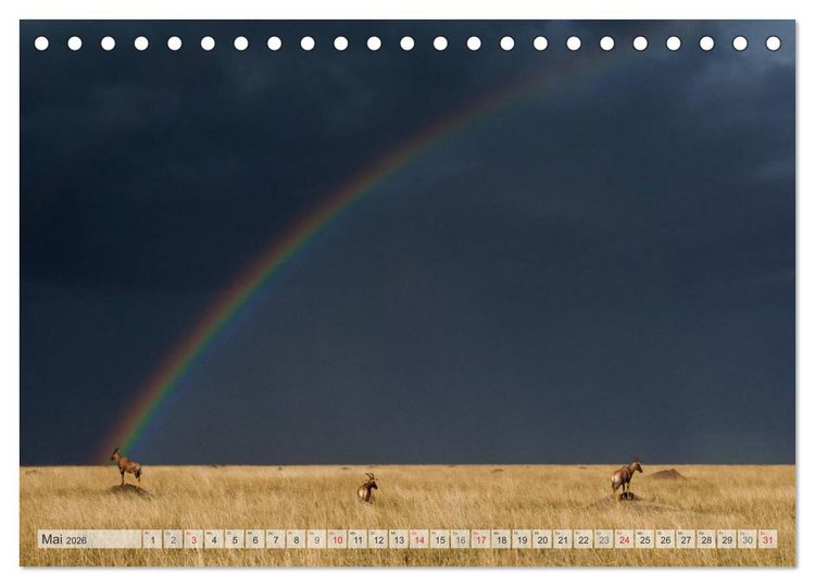 Produktbild: Emotionale Momente: Afrika Wildlife Part 2 / CH-Version (Tischkalender 2026 DIN A5 quer), CALVENDO Monatskalender