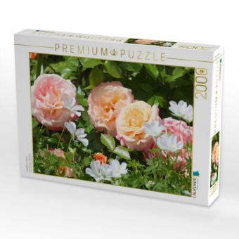 Produktbild: CALVENDO Puzzle Pastellfarbene Rosen | 2000 Teile Lege-Gr&ouml;&szlig;e 90x67cm Foto-Puzzle f&uuml;r gl&uuml;ckliche Stunden