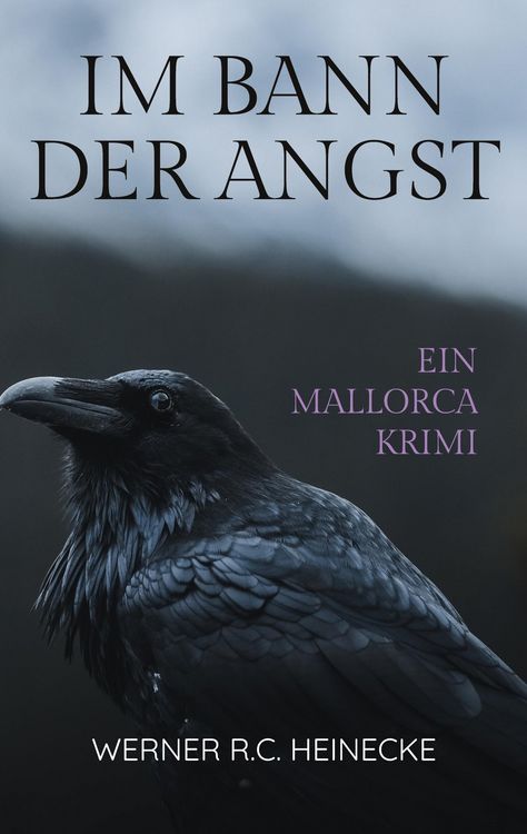 Produktbild: Im Bann der Angst