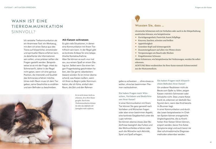 Produktbild: Was will mir meine Katze sagen?