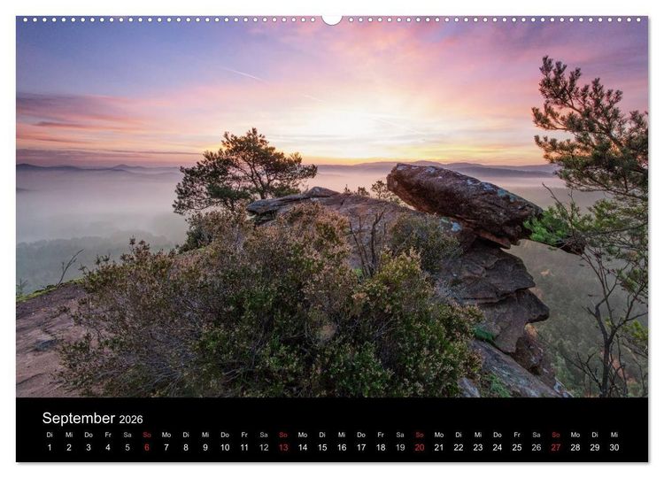 Produktbild: Mystischer Pf&auml;lzer Wald (hochwertiger Premium Wandkalender 2026 DIN A2 quer), Kunstdruck in Hochglanz