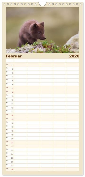 Produktbild: Familienplaner 2026 - Polarfuchs-Welpen mit 5 Spalten (Wandkalender, 21 x 45 cm) CALVENDO