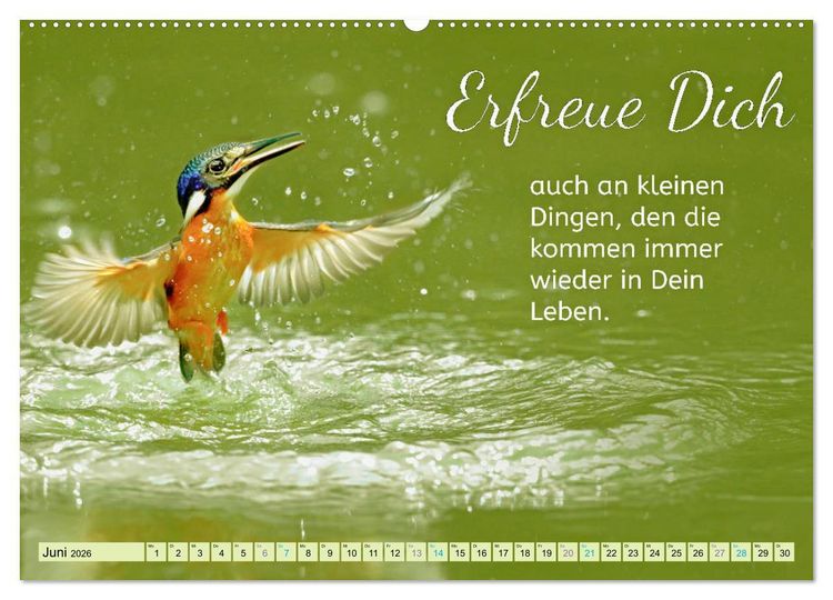 Produktbild: Der Spruchkalender - Inspirationen (hochwertiger Premium Wandkalender 2026 DIN A2 quer), Kunstdruck in Hochglanz