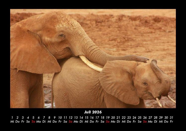 Produktbild: Tierkalender 2026 Fotokalender DIN A3