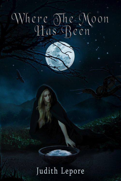 Produktbild: Where the Moon Has Been (The Magic of Miraven, #1)