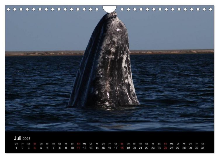 Produktbild: Baja California - Impressionen der mexikanischen Halbinsel (Wandkalender 2027 DIN A4 quer), CALVENDO Monatskalender